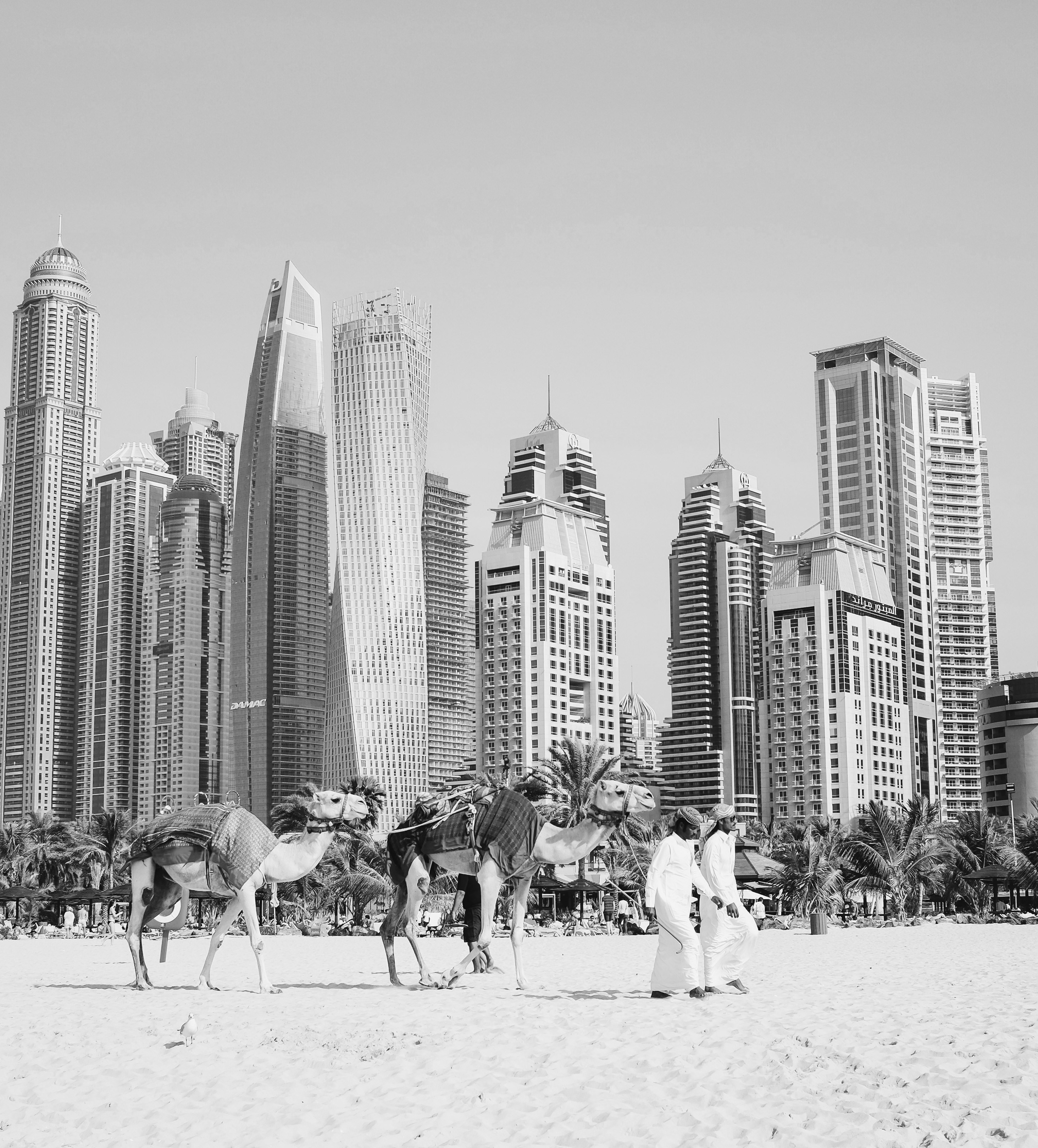 Gulf States